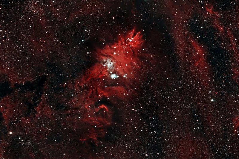 ngc 2264.jpg