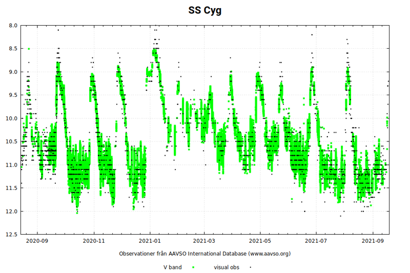 Cyg-SS.png
