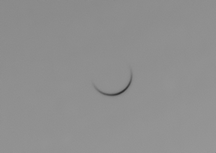 Venus 20220106_141649 Gray Neg-2M.jpg
