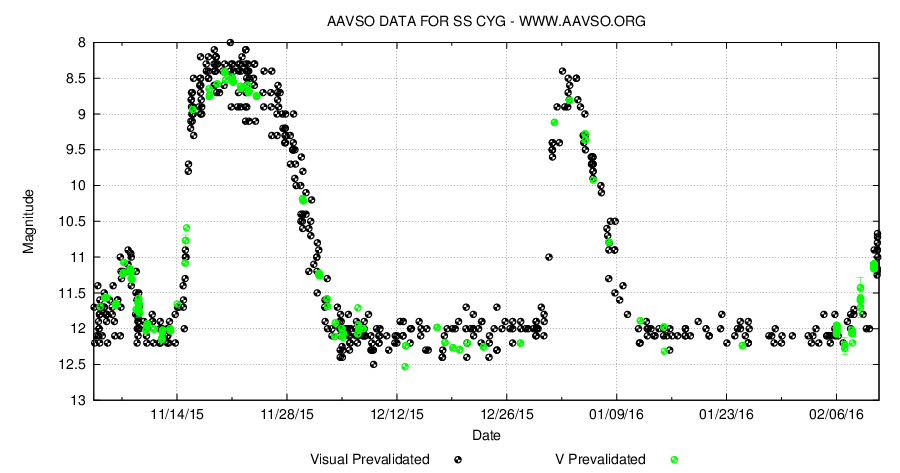 SS Cyg. Visuella våglängder. AAVSO.