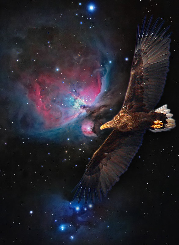 Orion-Eagle.jpg