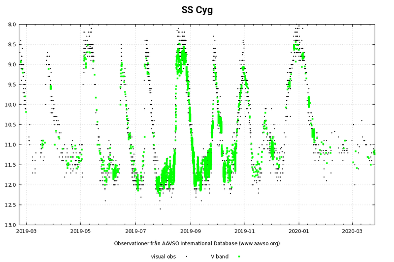 Cyg-SS.png